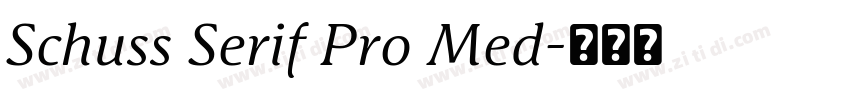 Schuss Serif Pro Med字体转换